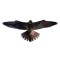 Визуальный отпугиватель птиц голубей воробьев ласточек Хищник-2