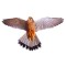 Визуальный отпугиватель птиц голубей воробьев ласточек Хищник-3
