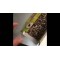 Клеевая ловушка для тараканов с аттрактантом Argus